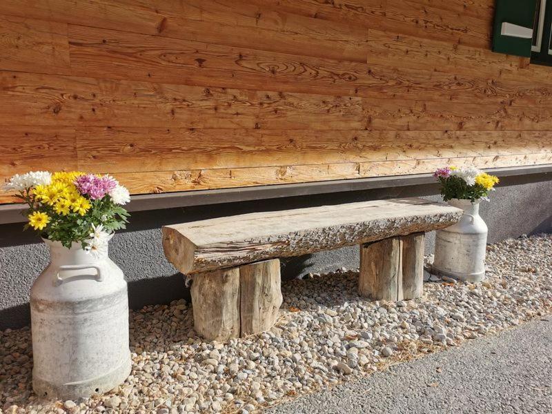 Bruecklerhof Haus im Ennstal Exterior foto